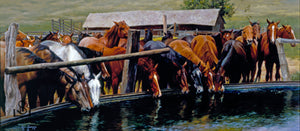 "Happy Hour" by Steve Devenyns is a true depiction of the American West and Western Life of Horses. Featured at the Quest for the West Art Show, National Museum of Wildlife Art Show, Western Visions Art Show, and Cheyenne Frontier Days Governor’s Art Show. His paintings are true American West Ranching and Wildlife.