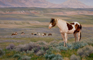 "In the Last Wild Place", by Steve Devenyns, famous American Western Fine Artist Oil Painting. A painting depicting the beloved Wild Horses of the American West. Steve has been featured in the Buffalo Bill Art Show, Prix de West Art Show, Eiteljorg Museum, Quest for the West Art Show, and National Museum of Wildlife Art.