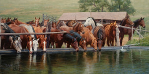 "Last Call", by Steve Devenyns, an image of the Horse and Ranching in the West. Featuring horses at a water tank on a summer day. Steve Devenyns is America’s Finest Western Artists. Original Paintings of Ranching, Wildlife and Cowboy art. Featured in the Buffalo Bill Art Show, Prix de West Art Show, Eiteljorg Museum
